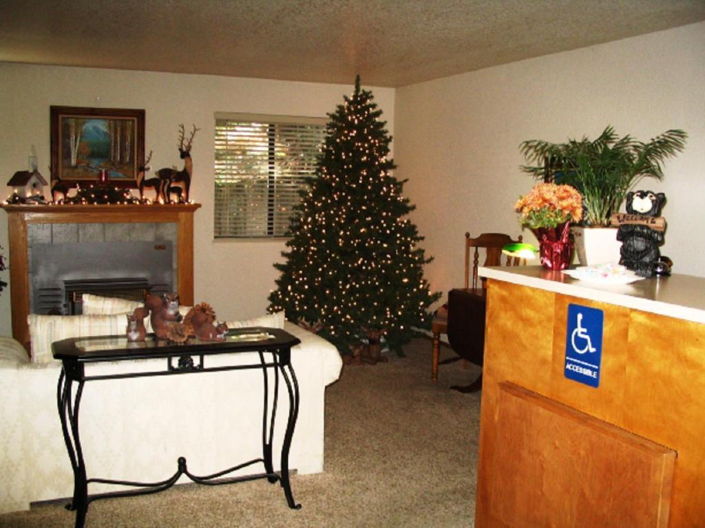 Hotel Christmas Tree 2*
